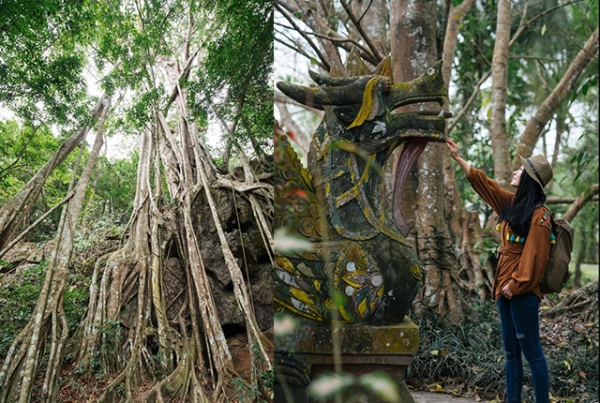 西双版纳5天4晚 两人同行一人免单