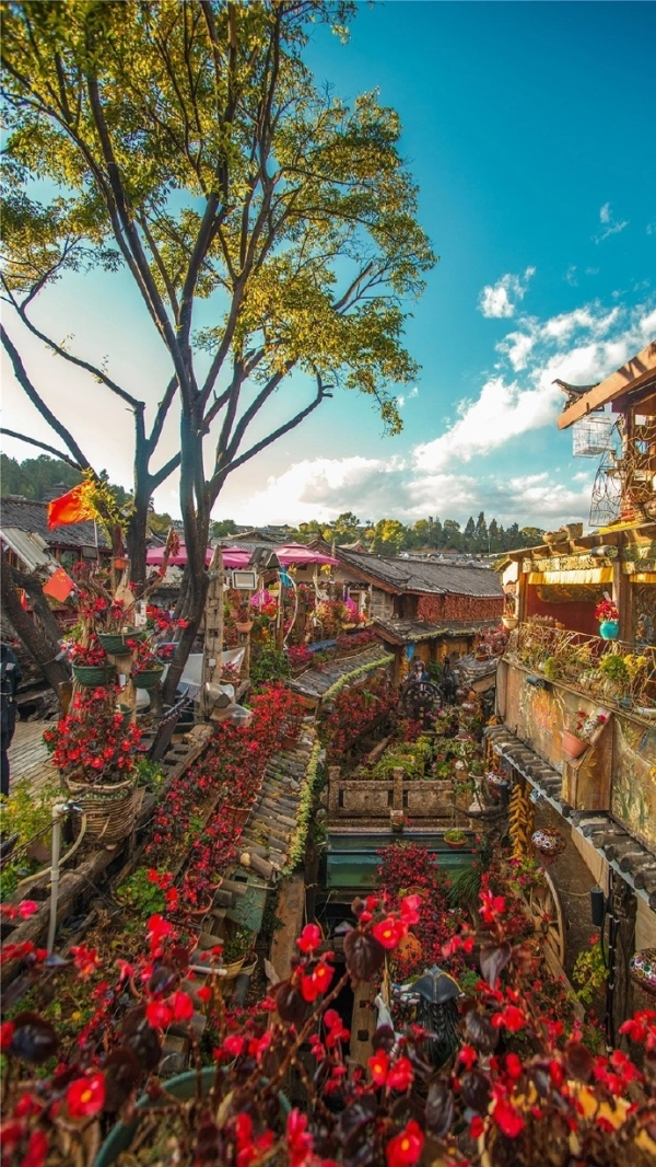 丽江古城，国家5A级景区，春暖花开，欢迎大家~
