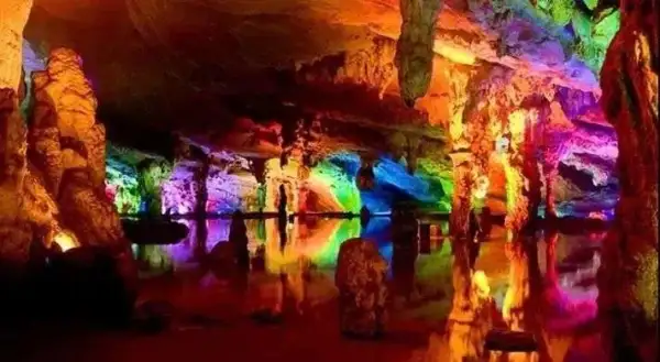 探连州地下河、游惶川三峡、赏擎天玻璃桥、寻古树、品文化、参观广宁茶博园