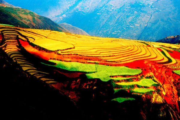 昆明-东川-罗平-普者黑-元阳-建水-抚仙湖双飞10日游