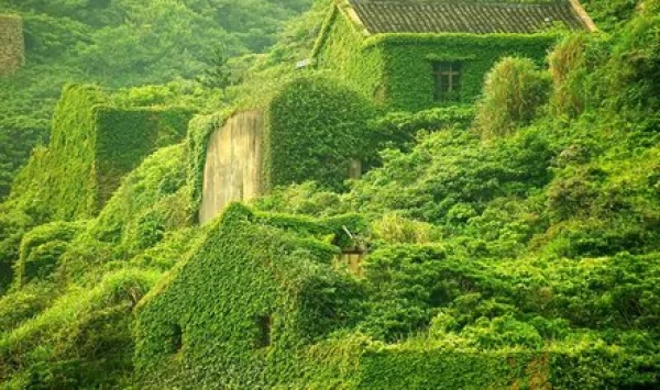 洛阳旅游 河南全景游6天5晚专属私人定制游 一网打尽 不留遗憾 给您最全面的旅游体验 （龙门石窟/少林寺/开封府/嵩山/清明上河园/云台山/黄河小浪底/万仙山/郭亮村/挂壁公路）