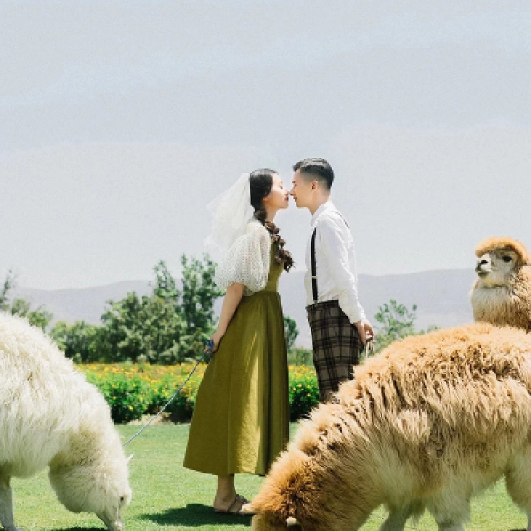 【15人小团】丽江大理泸沽湖香格里拉6天5晚纯玩团旅拍云南旅游