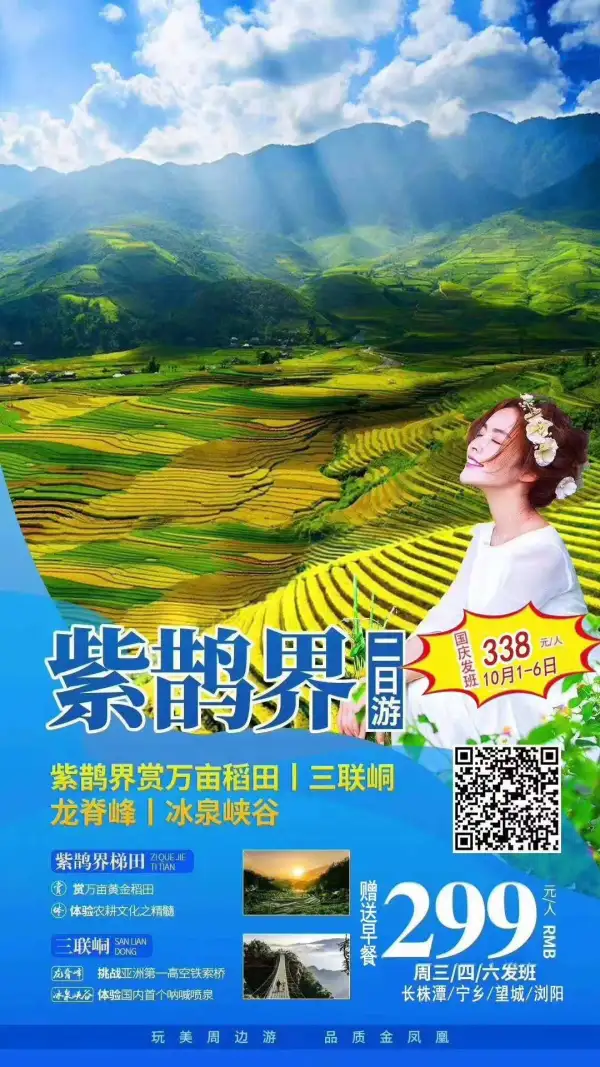 紫鹊界赏万里稻田