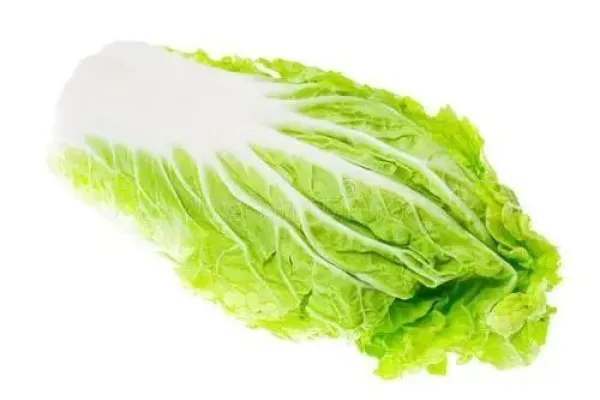 襄阳唐城一日游