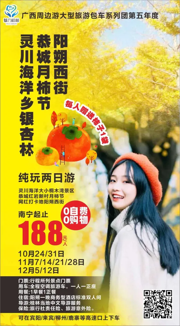 阳朔西街/恭城月柿节/灵川海洋乡银杏林，纯玩两日游，0自费0购物