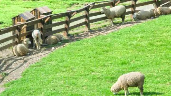 台湾西部7日6晚