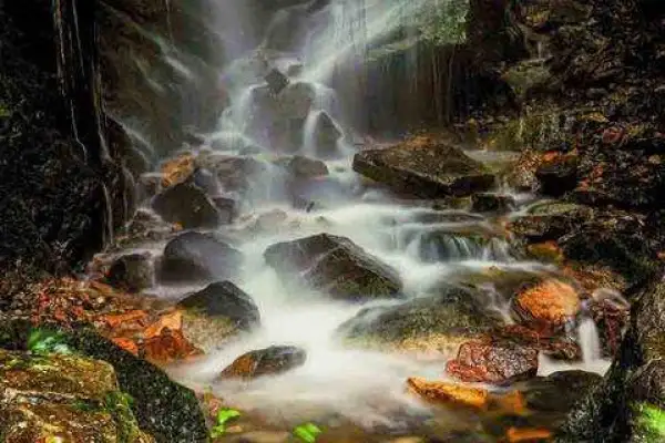 宁海金海开元名都大酒店1晚