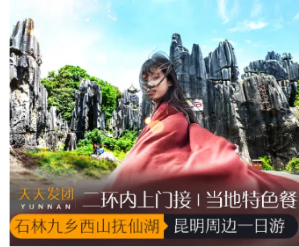 昆明石林九乡滇池民族村抚仙湖一日游周边游云南旅游二环内上门接