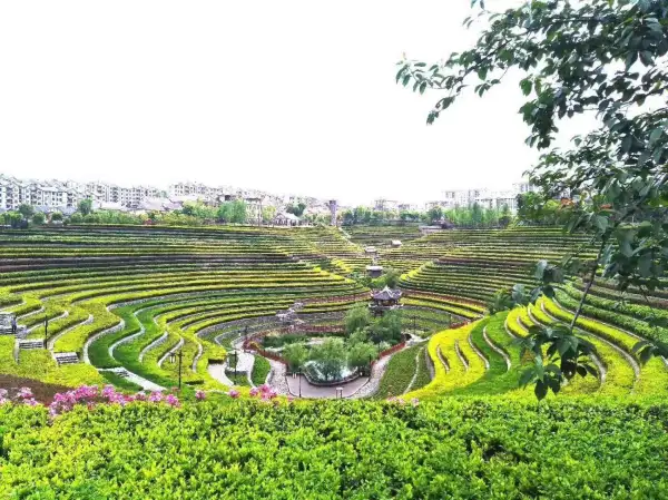 [咖啡]九洞天 油杉河 奢香古镇梯田纯玩二日游