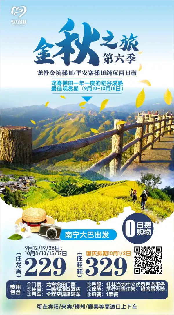 金秋之旅，龙脊金坑梯田/平安寨梯田纯玩两日游