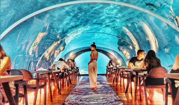 错峰出游省1000·马尔代夫芙拉瓦丽岛7日蜜月婚礼定制游（成人专属蜜月岛+梦幻水下餐厅+优越浮潜点+FB三餐全包+水飞上岛）