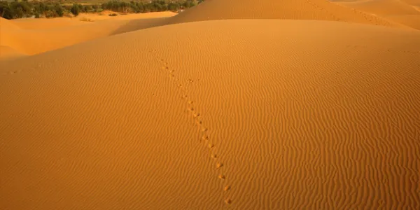 异域风情 -探秘南疆 新疆喀什民俗风情12晚13日游 探秘南疆 穿越死亡之海-塔克拉玛干 新疆喀什 帕米尔高原 卡拉库里湖 天山神秘大峡谷