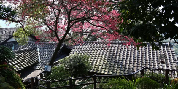 台湾台北 北投少帅禅园 温泉美食双享套餐 独立汤屋 温泉与美食共享 俯瞰北投山绝美风光