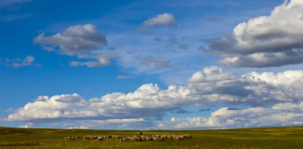 希拉穆仁草原-响沙湾-成吉思汗陵-藏传大召寺双飞5日游