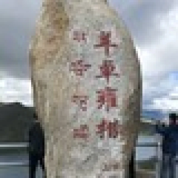 全国往返拉萨+林芝+羊湖7日跟团游