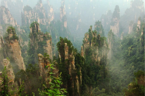 <张家界双飞5日游>情侣蜜月,