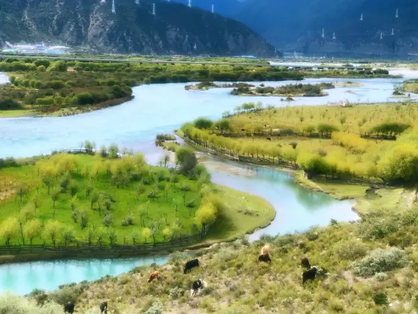 西藏拉萨林芝纳木错7日游