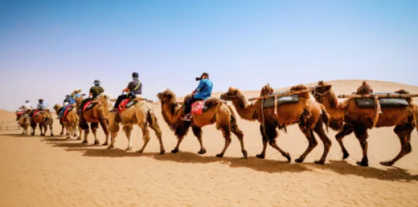 沙湖-水洞沟-沙坡头-西夏陵-贺兰山岩画-镇北堡西部影城汽车3日游