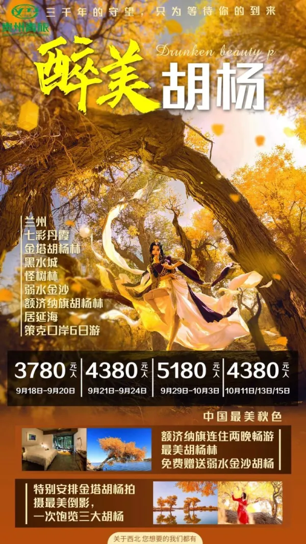 醉美胡杨，额济纳旗连住两晚畅游，6日游