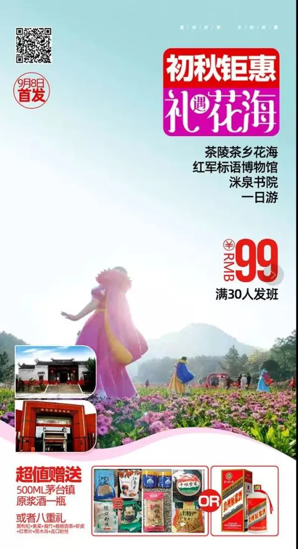 【￥99初秋钜惠•礼遇花海】茶陵茶乡花海+红军标语博物馆+洣泉书院一日游