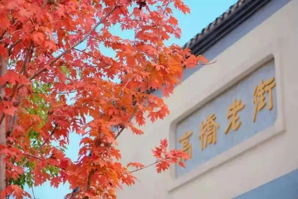 【￥99枫叶红了】长沙县•高桥老街+田汉故居一日游