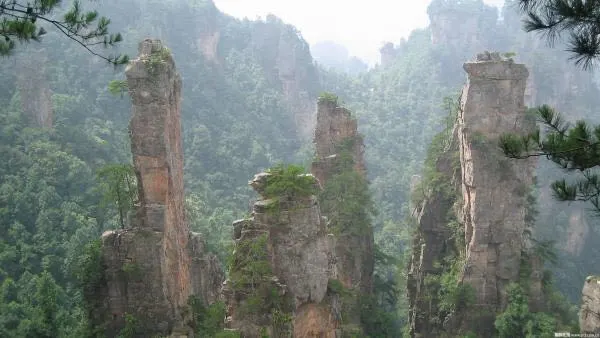 千应合作旅行社专属旅线
云天渡玻璃桥+袁家界+天子山+天门山玻璃栈道3晚4日跟团游<纯玩游，天天发，走玻璃桥，赠百龙天梯上行，游玻璃栈道，升级一晚五星酒>