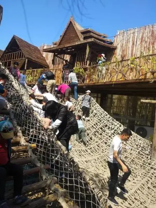 呀路古热带植物园亲子研学