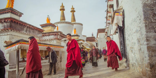西藏拉萨-布宫-日喀则-羊卓雍措-卡若拉冰川-珠峰8日游