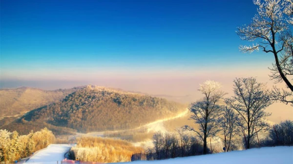 <长白山万达度假区酒店双飞3-8日自由行>直飞长春，度假区内7家酒店任选，含滑雪等大礼包，含长春到万达专车接送机服务，畅玩冰雪季