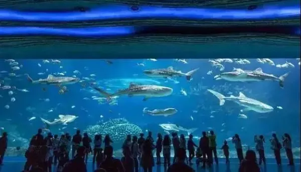 广州长隆野生动物园+大马戏+珠海长隆海洋王国4日半自助游