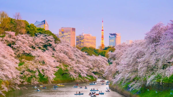 <日本东京新宿涩谷 自由行>住新宿商圈，东京都厅免费看夜景，忠犬八公故事地，时尚潮流发源地，秋叶原涉谷繁华电器街购物美食天堂，狂嗨不夜城