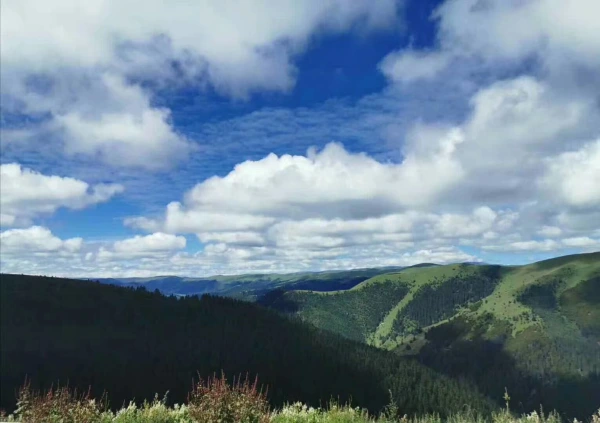 稻城，亚丁，冲古寺，仙乃日，泸定桥，木雅圣地5日游双人