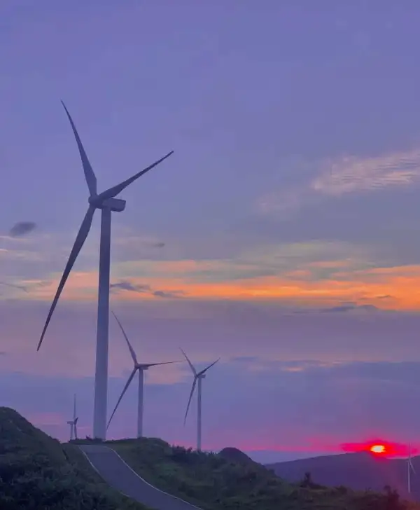 神仙岭打卡 梦幻紫色