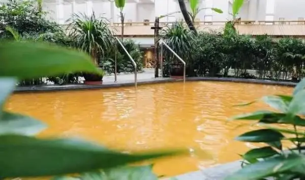 兰州新区墩湖温泉恐龙水乐园游