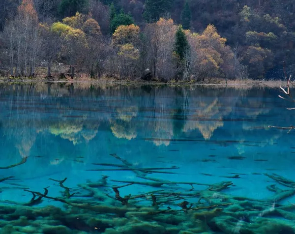 成都+九寨沟+都江堰+黄龙风景名胜区6日5晚跟团游