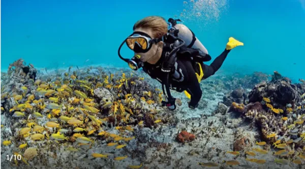 世界潜水圣地布纳肯+西拉登深潜