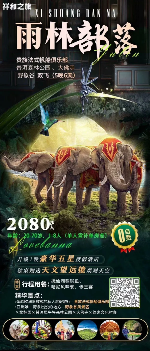   〖雨林部落〗：昆明、普森、野象谷、大佛寺双飞日游  全程五星+升级1晚昆明豪华五星度假酒店   豪华景点：贵族法式帆船+普洱犀牛坪森林公园--野象谷--大佛寺(带你走村串寨、畅游傣乡)   