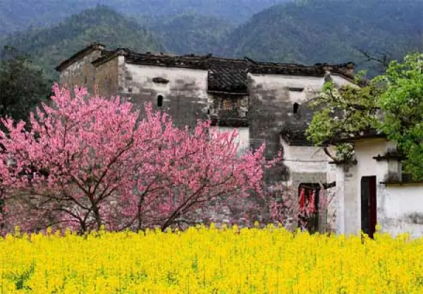 江西婺源-篁岭-熹园-三清山巴士跟团3日游