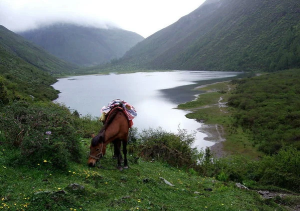四姑娘山卧龙映秀遗址三日游