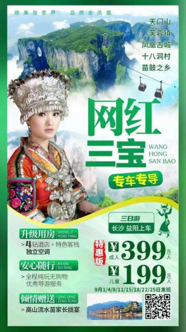 网红三宝 专车专导