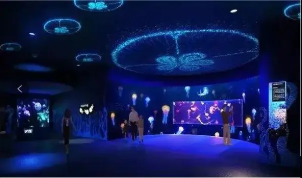 【¥99畅游海洋世界】长沙 •海立方海洋公园+洋湖水街一日游