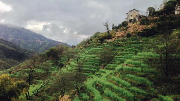 江西上饶-婺源婺里天禧温泉度假酒店自驾2-4日游