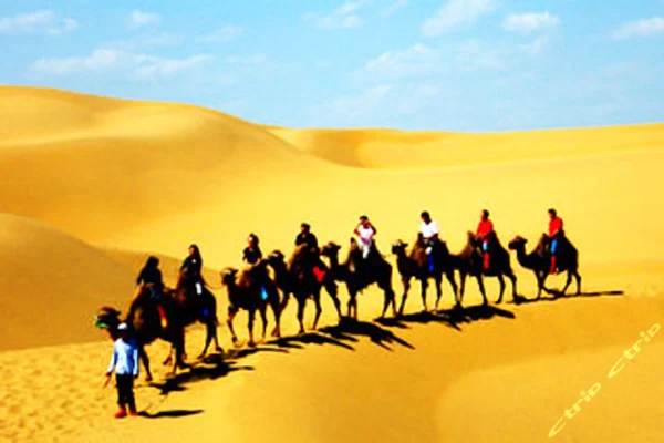 希拉穆仁草原+敕勒川+响沙湾+成吉思汗陵双飞5日跟团游（5钻）