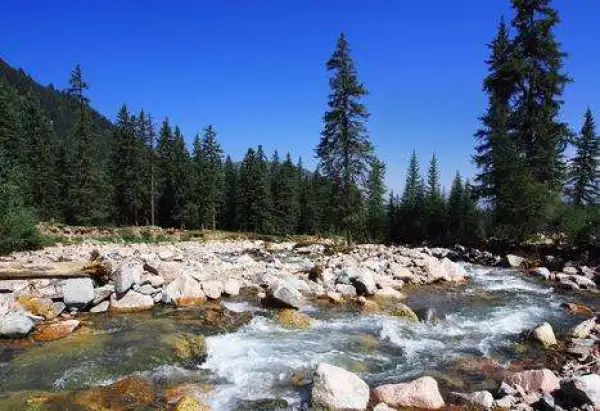 青甘境内小环线 塔尔寺-青海湖-茶卡盐湖-冰沟林海-祁连卓尔山-七彩丹霞4日3晚自由行