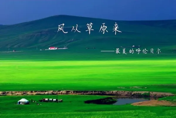 呼伦贝尔+海拉尔+额尔古纳+满洲里6日5晚私家团
