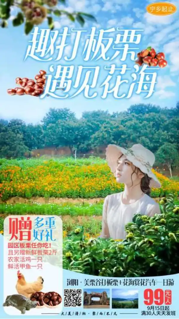 浏阳 趣打板栗花海赏花