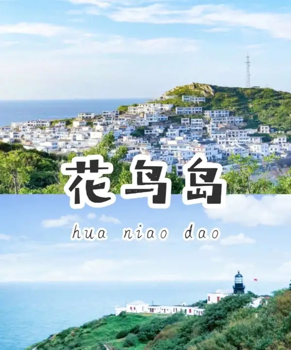 夏天约一场浪漫的海岛游吧~
“中国的小圣托里尼”花鸟岛
在最美花鸟灯塔等日落，沿岛环线看蔚蓝色的大海，晚上邂逅罕见浪漫的荧光海~
"听说一起见了蓝眼泪的那些人，会永远在一起哦"