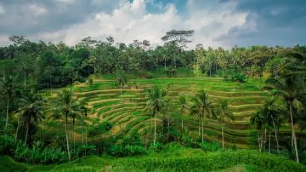 印度尼西亚巴厘岛7日5晚私家团