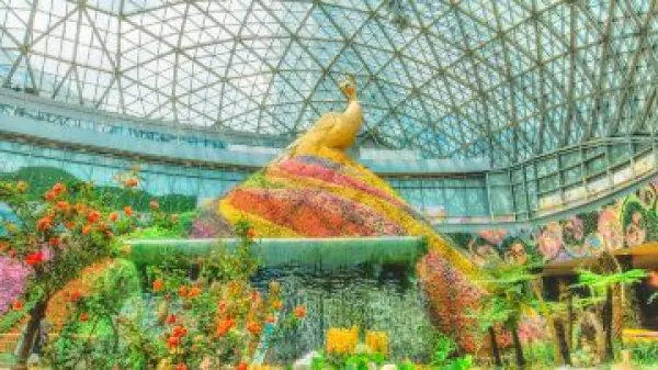 昆明+大理+丽江+玉龙雪山6日5晚