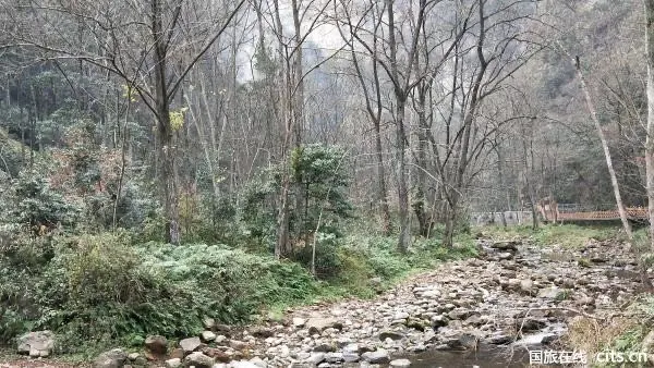 千应合作旅行社旅线
【缦康养-健康养疗】张家界温泉康养8晚11天养生旅居健康游<温泉康养基地+森林公园+袁家界+天子山+金鞭溪+十里画廊+溇江水利风景区>